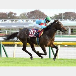 ２１年はオーソリティが１番人気に応えた