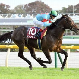 【注目重賞／データで買う・アルゼンチン共和国杯】