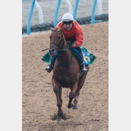 余力十分に好時計