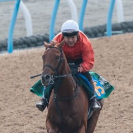 【注目重賞／追い切りで買う・アルゼンチン共和国杯】