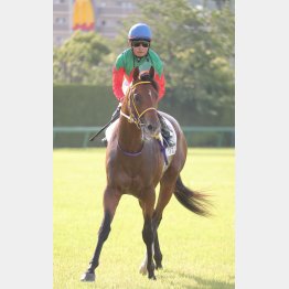 放牧明けから上昇中