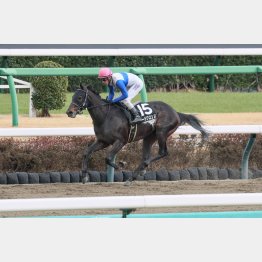 ４連勝でオープン入り