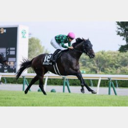 相手には千四得意のポッドロワール