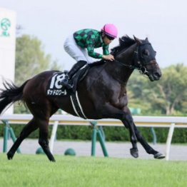 【レスキュー隊の日曜競馬コラム・東京12Ｒ】	