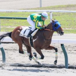 【東京本紙・外山の日曜東京９Ｒ】