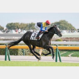 前走を好内容で１勝クラスを卒業