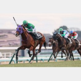 中山で2200㍍までは克服済み