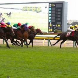 【アルゼンチン共和国杯】ミステリーウェイが逃げ切って人馬ともに重賞初制覇