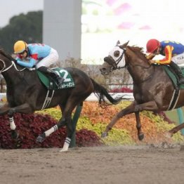 【みやこＳ】ダブルハートボンドがレコードでＶ