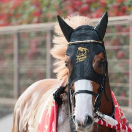 不良馬場で父が芝ＧⅠ馬のスピードが生きたみやこＳ