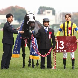 不良馬場で父が芝ＧⅠ馬のスピードが生きたみやこＳ
