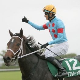 【みやこＳ】レース後の談話（ネットオリジナルを含む）