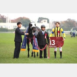 ①着ミステリーウェイ（松本騎手）「人馬一体になれたと思います」