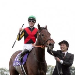 【エリザベス女王杯】レガレイラなどＧⅠ実績馬にイキのいい３歳勢が挑む