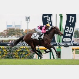 ５馬身差の圧勝