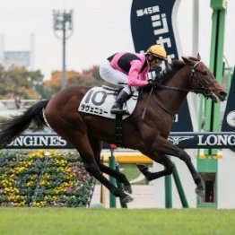 重賞よりも触れたい２歳戦のこの２鞍