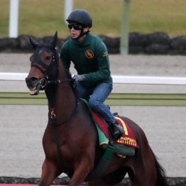 【エリザベス女王杯】ココナッツブラウン魅力たっぷり