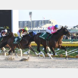 19年は９番人気ワンダーリーデルが大外一気に差し切り