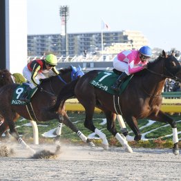 【武蔵野Ｓ】前走②～⑤着馬が波乱を呼ぶ