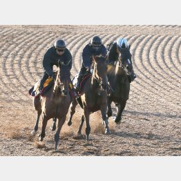 3頭併せの真ん中から力強い走り