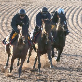 【エリザベス女王杯】調教マル得チェック③