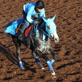 【エリザベス女王杯】調教マル得チェック③