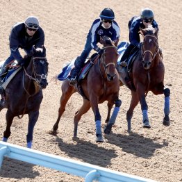 【エリザベス女王杯】調教マル得チェック③