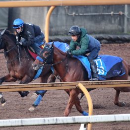 【エリザベス女王杯】調教マル得チェック②