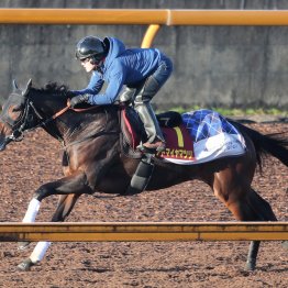 【エリザベス女王杯】調教マル得チェック②