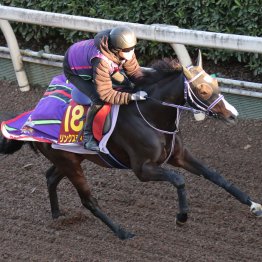 【エリザベス女王杯】調教マル得チェック①