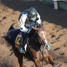 【エリザベス女王杯】調教マル得チェック①