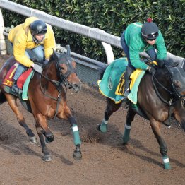 【エリザベス女王杯】調教マル得チェック①