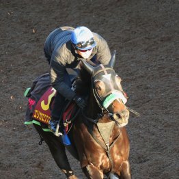 【エリザベス女王杯】エリカエクスプレスますます快調