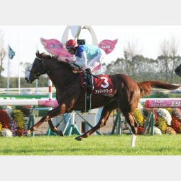 18年勝ち馬のアドマイヤマーズは種牡馬としても成功している