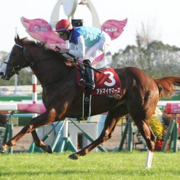 【デイリー杯２歳Ｓ】過去から導いた条件クリアは４頭だけ