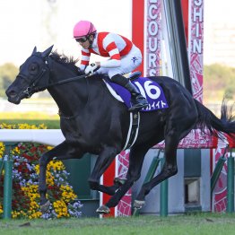 【エリザベス女王杯】データ作戦　４歳勢が他の世代を圧倒