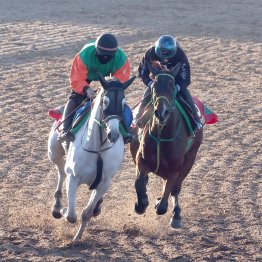 【エリザベス女王杯】３年前の②着馬ライラック一発ある