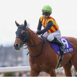 コスタノヴァは59㌔が気掛かり