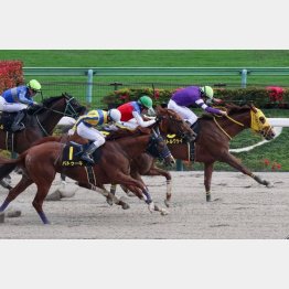 オアシスＳは２年ぶりの勝利