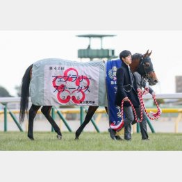 今年のフェブラリーＳを制した