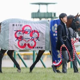 【新居の土曜競馬コラム・武蔵野Ｓ】