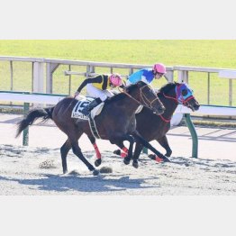 レコードで初勝利