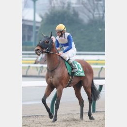 根岸Ｓ②着を高く評価