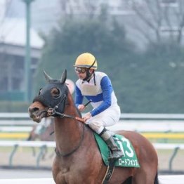 【武田の土曜競馬コラム・武蔵野Ｓ】