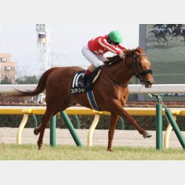 ４連勝でオープン入り