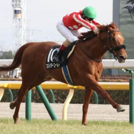 【橘の土曜競馬コラム・アンドロメダＳ】