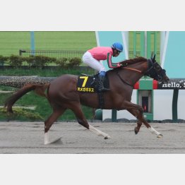 完全復調なった