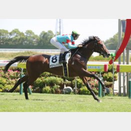 大物感漂う圧巻のＶ