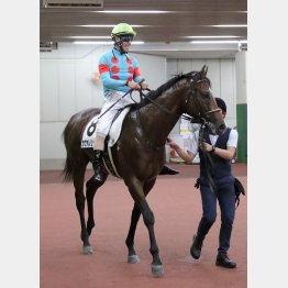 新馬勝ちが素晴らしい記録