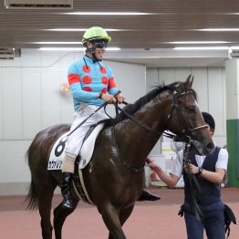 【新谷の土曜競馬コラム・デイリー杯２歳Ｓ】